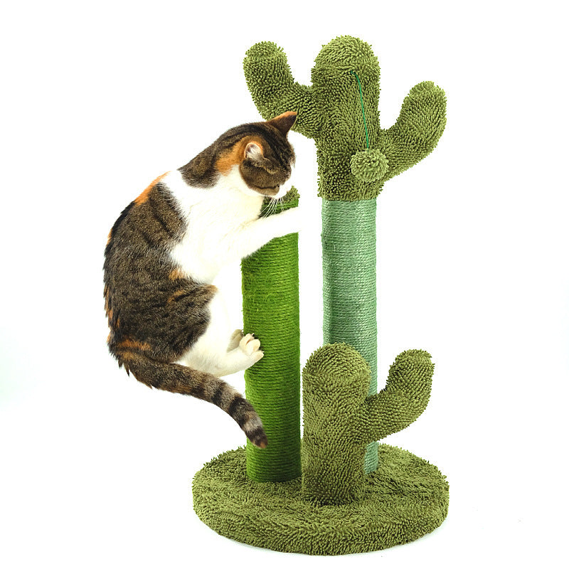 Kaktus Kratzbaum