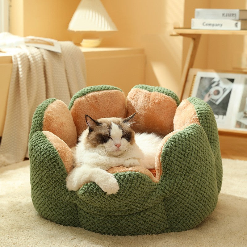 Kaktus Kuschelbett