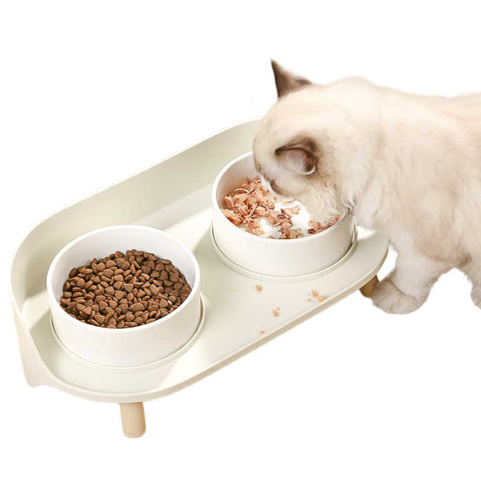 ErgoBowl