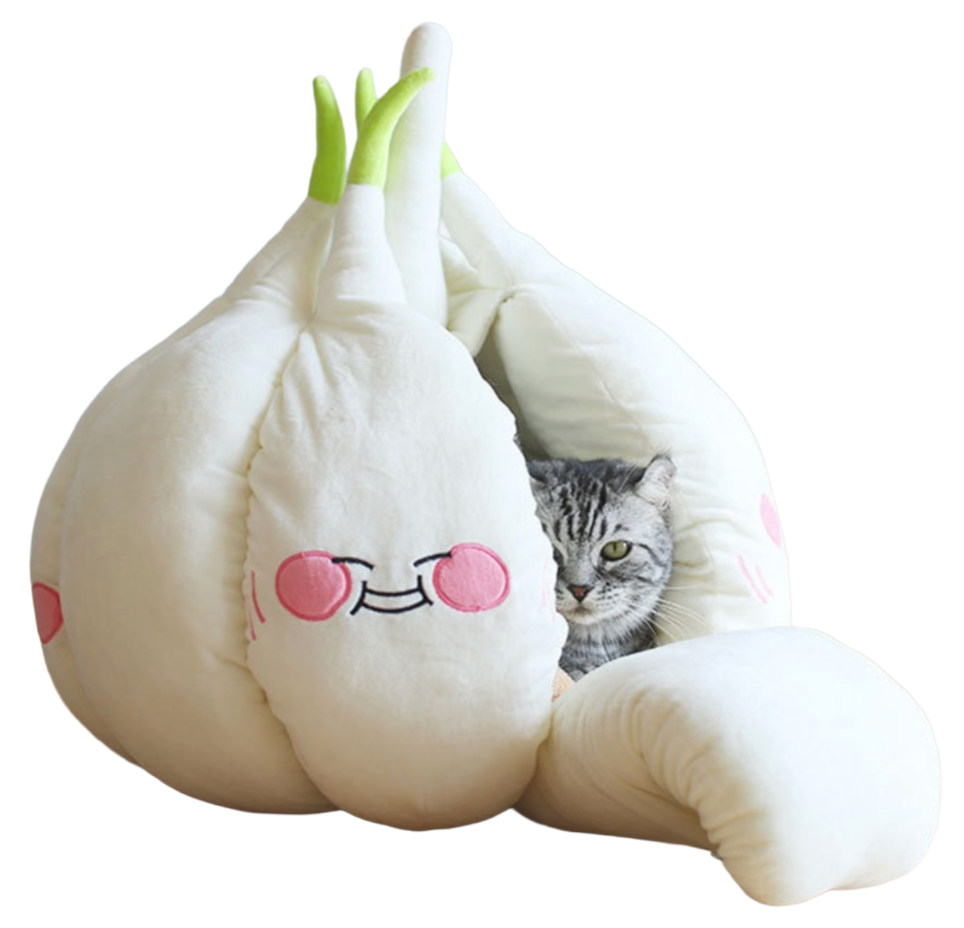 Knoblauch Kuschelhöhle