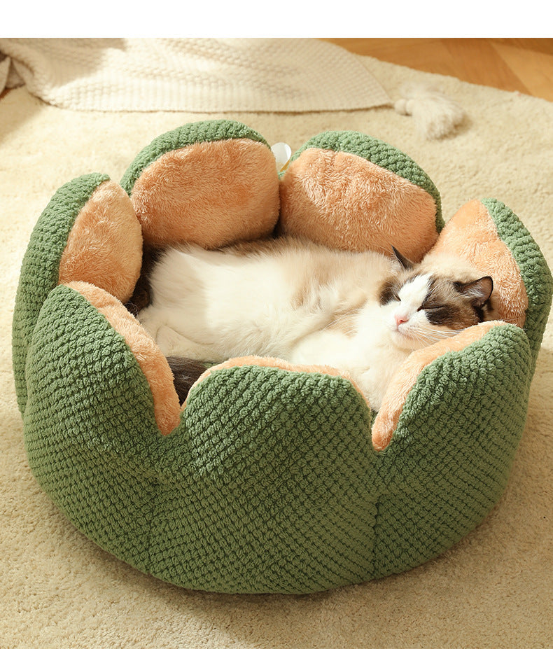 Kaktus Kuschelbett